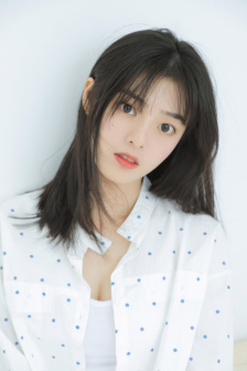 屋顶的大象